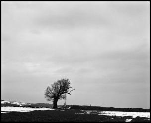 Andrej Lamut – Podoba podobe, 2013
