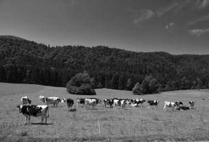 Neokrnjena narava in ekološke kmetije