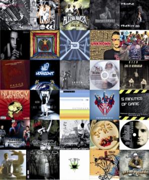 Izbor tridesetih raperskih albumov, ki so izšli v letu 2010
